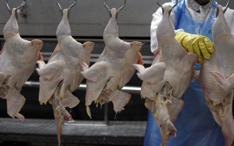 MBRF vê equilíbrio entre oferta e demanda de frango em 2026