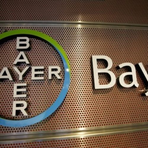 Ações da Bayer sobem após justiça dos EUA aceitar recurso sobre processo do herbicida Roundup