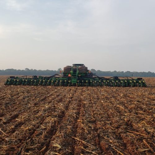Falta de chuva pode atrapalhar início do plantio de soja em Mato Grosso