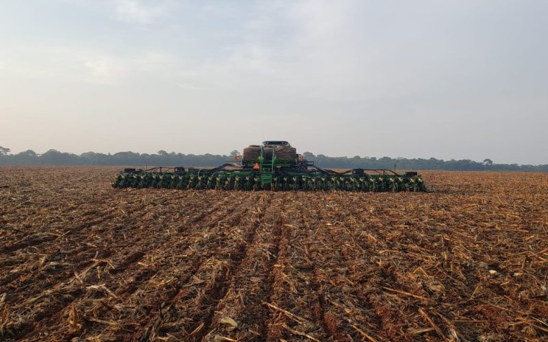Falta de chuva pode atrapalhar início do plantio de soja em Mato Grosso