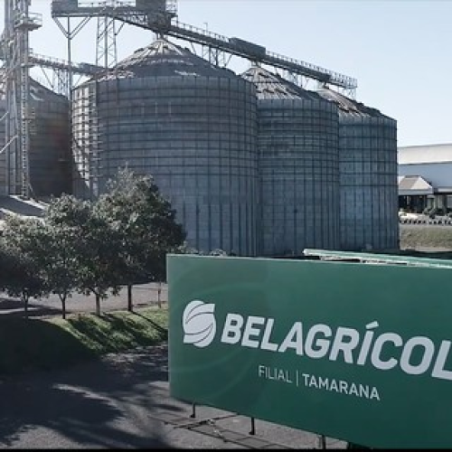 Belagrícola suspende fixação de preços com produtores e pagamento a credores por 60 dias