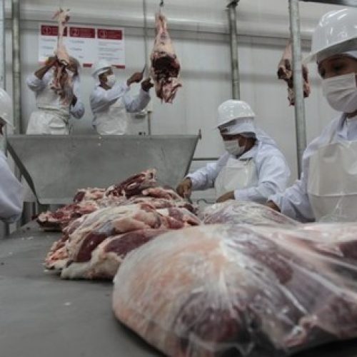 Após crescimento, carne bovina deve enfrentar ‘teste sutil’ em 2026, segundo frigoríficos