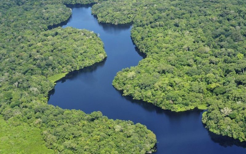 Qual é o maior rio do mundo? Oito recordes curiosos que vão te surpreender
