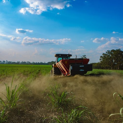 Microsoft compra créditos de carbono de pó de rocha