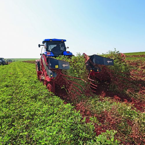 Cresce a busca por FDICs no setor