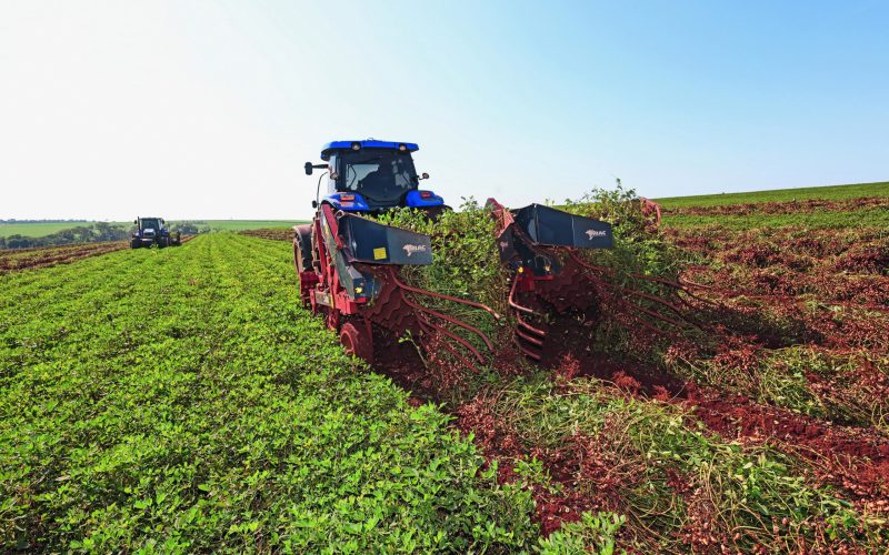 Cresce a busca por FDICs no setor