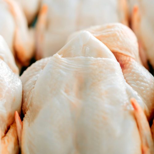 Quatro países anunciam fim das restrições ao frango brasileiro