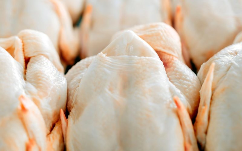Sem China, México liderou importações de carne de frango do Brasil em agosto