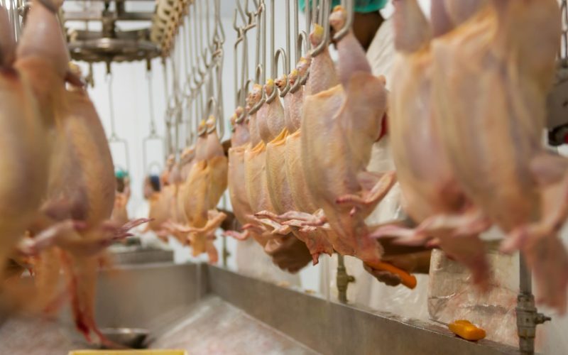 Seara compra duas granjas da Céu Azul Alimentos em São Paulo