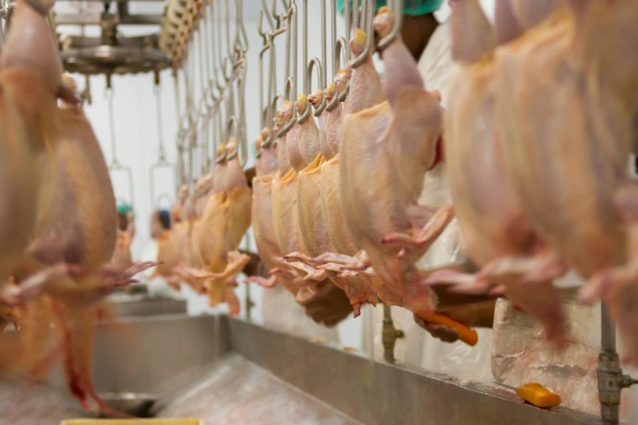 Seara compra duas granjas da Céu Azul Alimentos em São Paulo