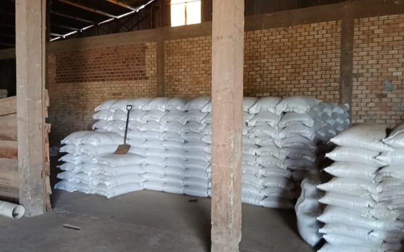 Operação apreende R$ 3 milhões em sementes piratas no Rio Grande do Sul