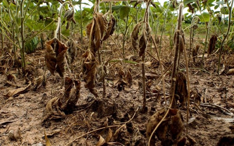 CMN aprova regra para incluir novos municípios gaúchos na renegociação de dívidas rurais