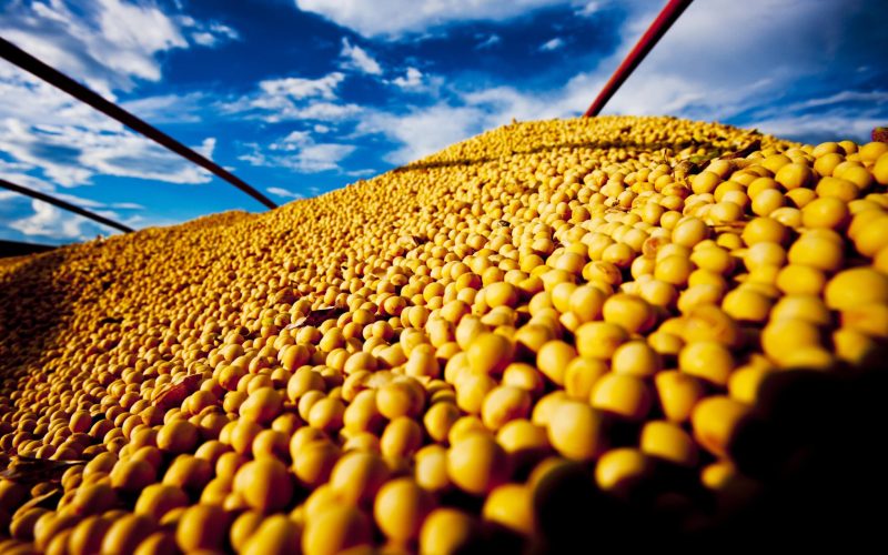 Soja: Desafio Nacional de Máxima Produtividade está com inscrições abertas