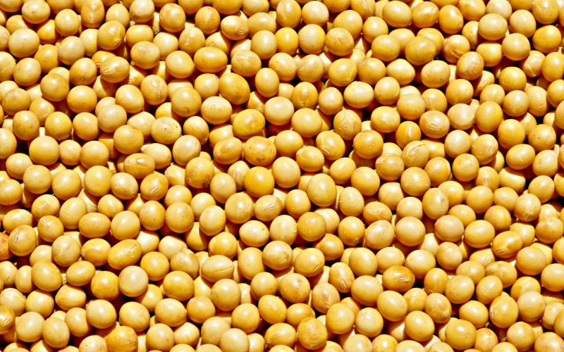 Emissão de notas fiscais do produtor rural terá mudanças em 2026