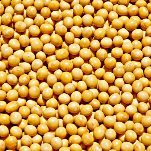 Emissão de notas fiscais do produtor rural terá mudanças em 2026