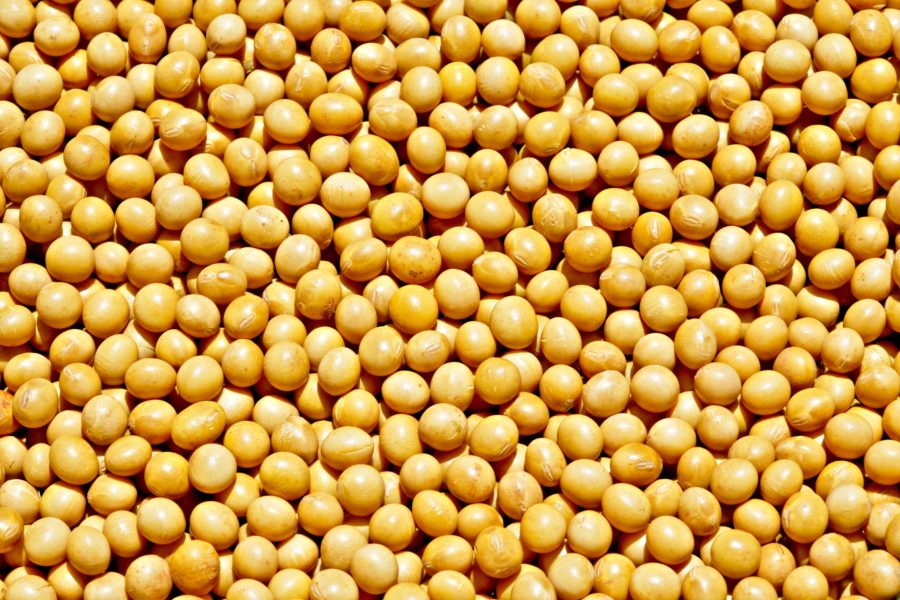 Soja segue em alta em Chicago após Trump anunciar maior demanda da China