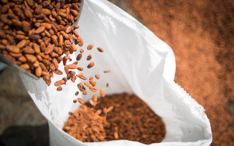 Cacau recua mais de 5% na bolsa de Nova York