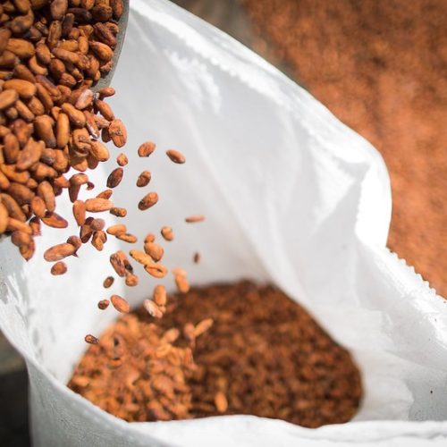 Cacau começa o dia com leve recuperação em Nova York após mínimas