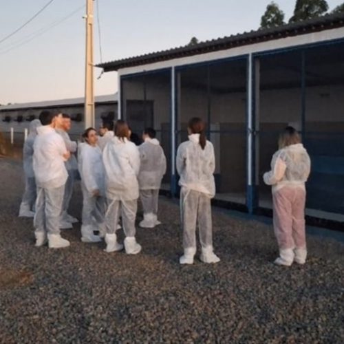 Técnicos chineses concluem inspeção a granjas e frigoríficos no RS