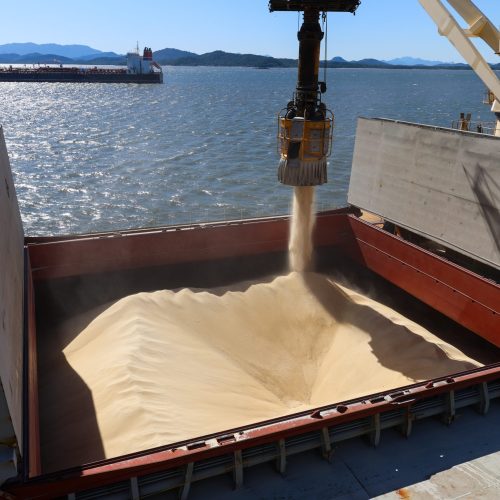 Brasilagro vai ampliar entrega de soja nos portos para reduzir preços de frete