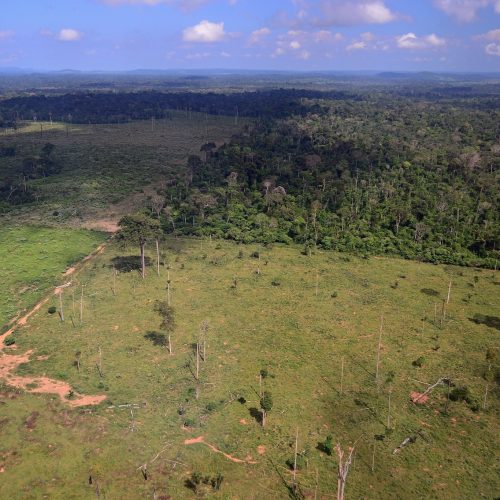 Superintendência do Cade determina suspensão da ‘Moratória da Soja’