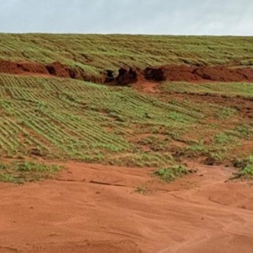 Chuvas atrasam o plantio de culturas de inverno no Rio Grande do Sul