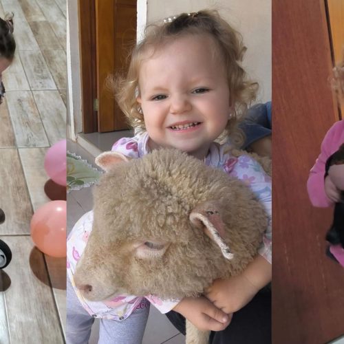 Criança viraliza na internet por amizade com galinha