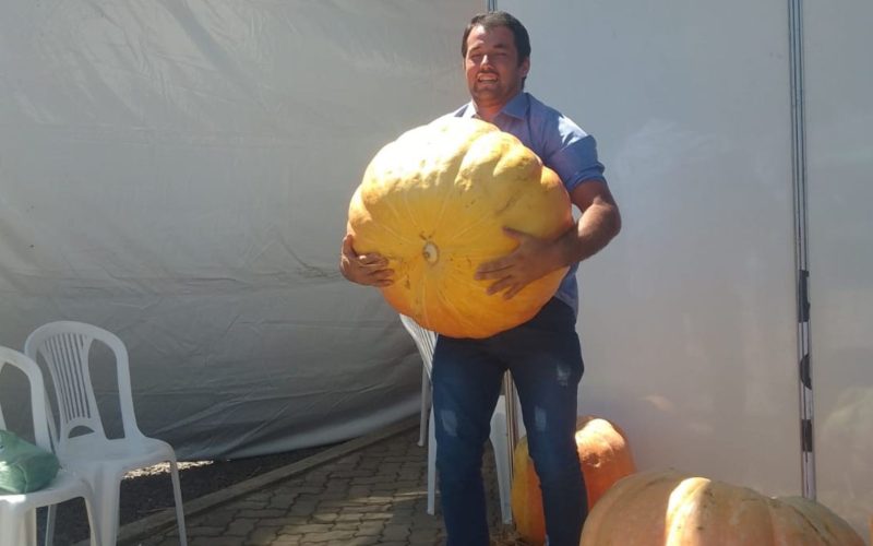 Produtor colhe abóbora gigante no RS, 20 vezes maior que as do supermercado
