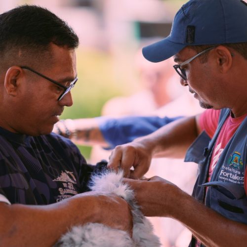 Vacinação contra a raiva para cães e gatos em Fortaleza terá novo Dia D em novembro; confira a data