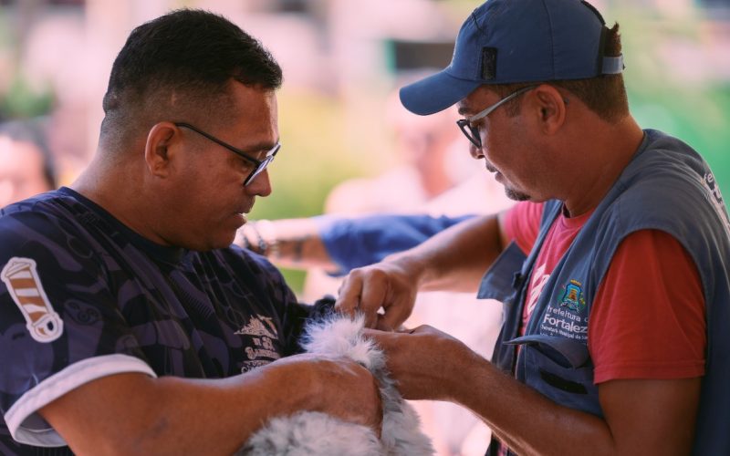 Vacinação contra a raiva para cães e gatos em Fortaleza terá novo Dia D em novembro; confira a data