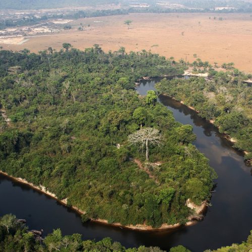 ONG já fala em ‘retrocesso’ caso tradings abandonem Moratória da Soja