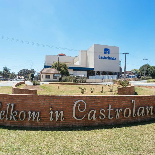 Castrolanda aposta no cacau e inicia projeto no Tocantins