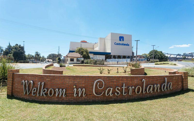 Castrolanda aposta no cacau e inicia projeto no Tocantins