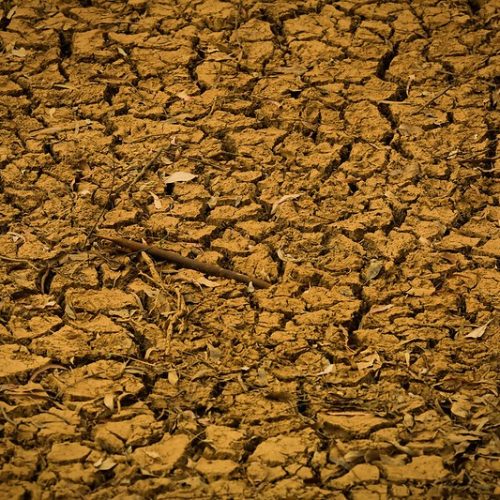 Avanço do clima extremo expõe fragilidades do seguro rural no país