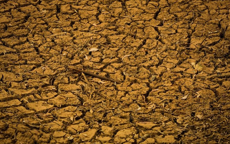 Avanço do clima extremo expõe fragilidades do seguro rural no país