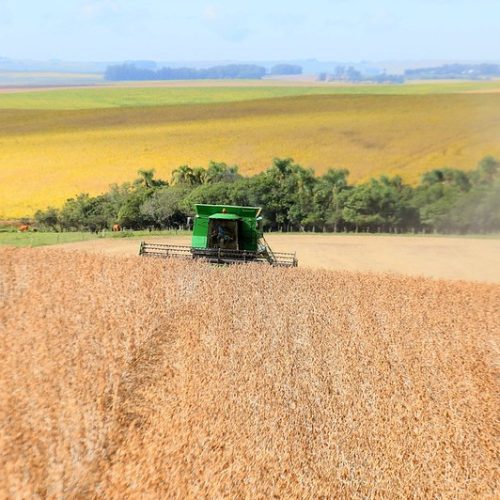 Preço da soja volta a cair no Brasil diante de boas perspectivas com a safra