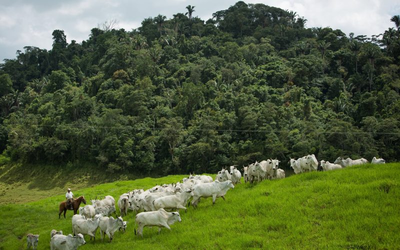 Coalizão Brasil pede reconhecimento das práticas sustentáveis do agro no Plano Clima