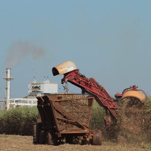 Jalles encerra moagem de 2025/26 com 5,9% menos cana que o estimado