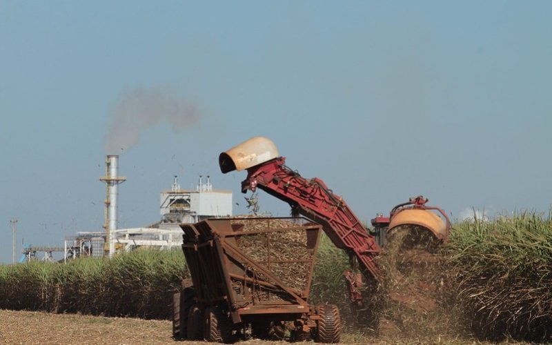 Jalles encerra moagem de 2025/26 com 5,9% menos cana que o estimado