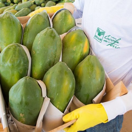 Restrição da França a frutas com resíduos de agrotóxicos tem pouco impacto ao Brasil, diz Abrafrutas