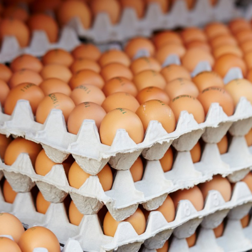 Brasil bateu recorde na exportação de ovos em 2025; ouça o comentário