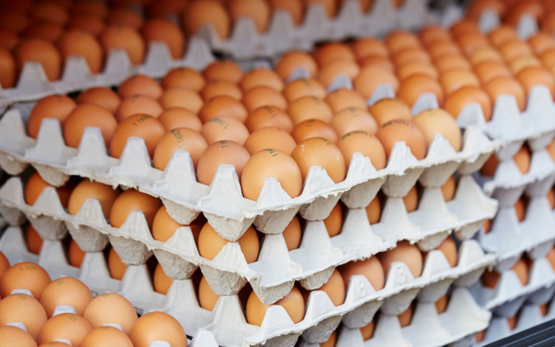 Brasil bateu recorde na exportação de ovos em 2025; ouça o comentário