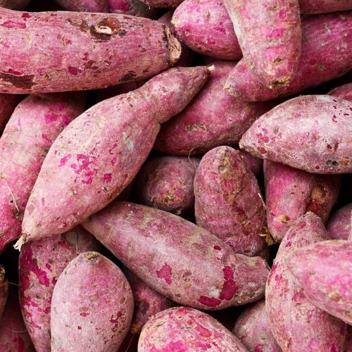 Entenda por que a batata-doce virou a queridinha das academias