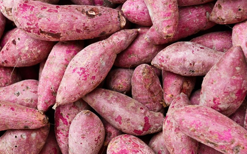 Entenda por que a batata-doce virou a queridinha das academias