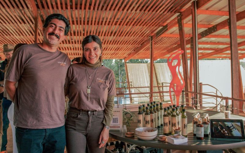 Casal transforma olival abandonado em azeite premiado no exterior
