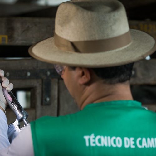 Vacina contra febre aftosa vive momento de despedida