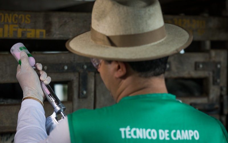 Vacina contra febre aftosa vive momento de despedida