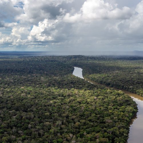 CNA quer que COP30 reconheça ‘direito à produção agropecuária’ na Amazônia