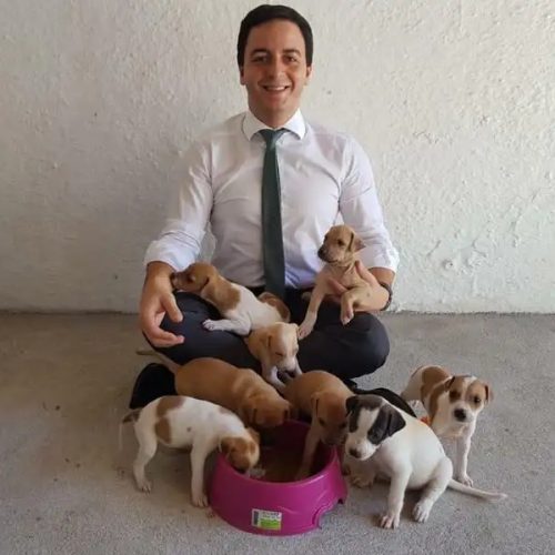 Célio Studart propõe que cães e gatos sejam incluídos como dependentes no Imposto de Renda