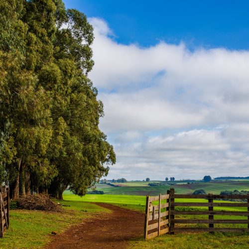 Prazo para entrega da declaração do ITR acaba no dia 30 de setembro